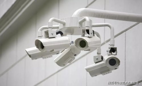 嘉興桐鄉碧桂園繁華里 項目信息與官方聯系方式指南